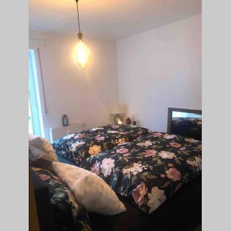 Sonnenoase Gufi Appartamento Gundelfingen  Esterno foto