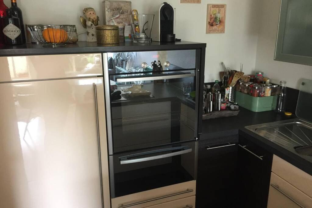 Sonnenoase Gufi Appartamento Gundelfingen  Esterno foto